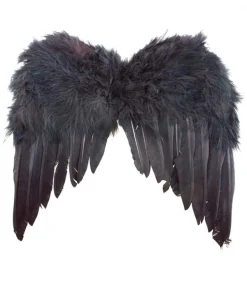 Ailes Noires En Plumes 33 X 34 Cm Enfant