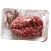 WIDMANN Cerveau Humain Emballé Ou A Suspendre - Halloween