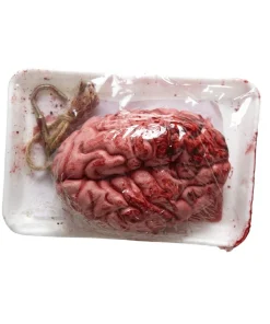 WIDMANN Cerveau Humain Emballé Ou A Suspendre - Halloween