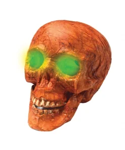 Crâne Avec Lumière