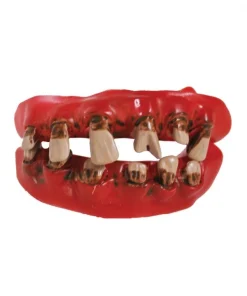 Dents De Pirate Abimées Pour Adulte