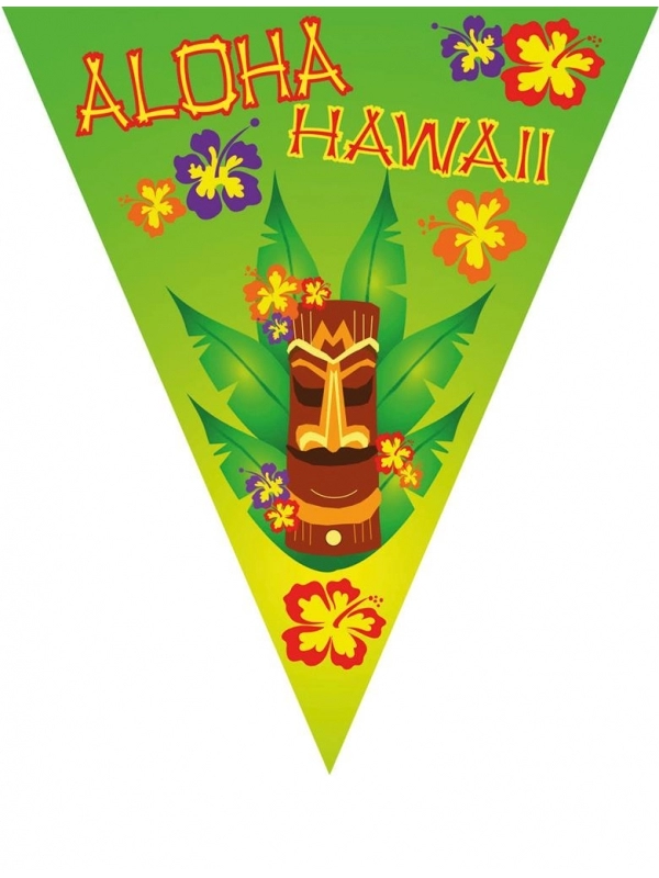 ESPA - Funny Fashion Guirlande Drapeaux Hawaï - 5m Et 10 Fanions 1 ESPA - Funny Fashion Guirlande Drapeaux Hawaï - 5m Et 10 Fanions
