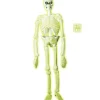 WIDMANN Squelette De Laboratoire Phosphorescent Dans Le Noir - 1,5 M